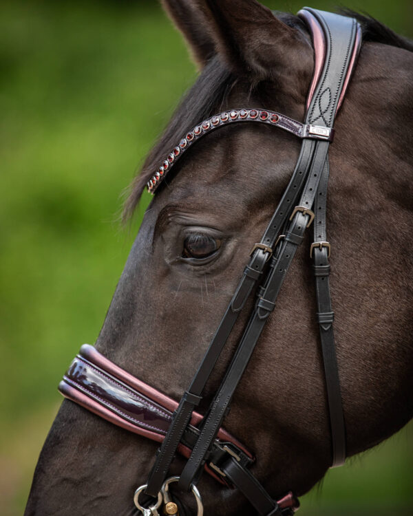 Stang & Trens Bridle Special Deluxe Bordeaux | TESS Products - Afbeelding 4