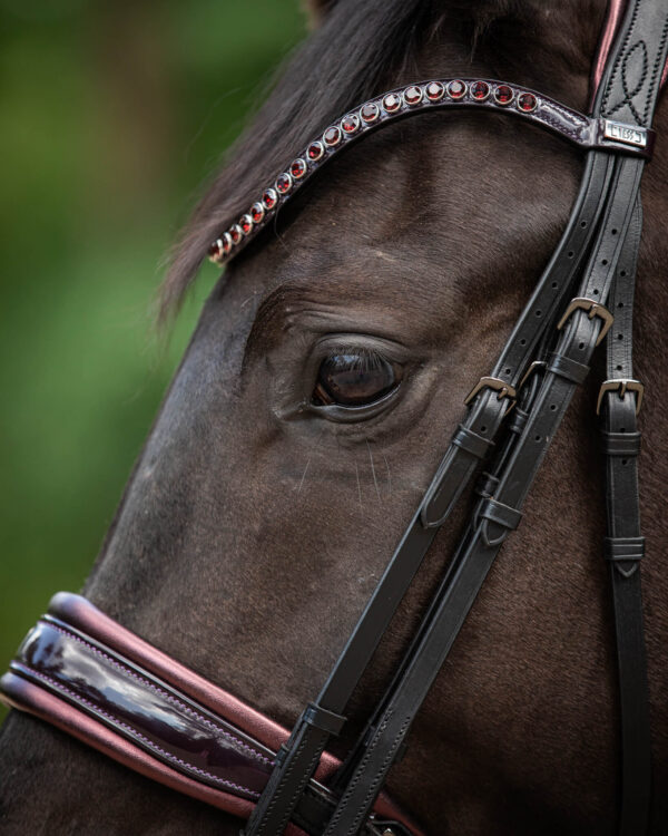 Stang & Trens Bridle Special Deluxe Bordeaux | TESS Products - Afbeelding 5