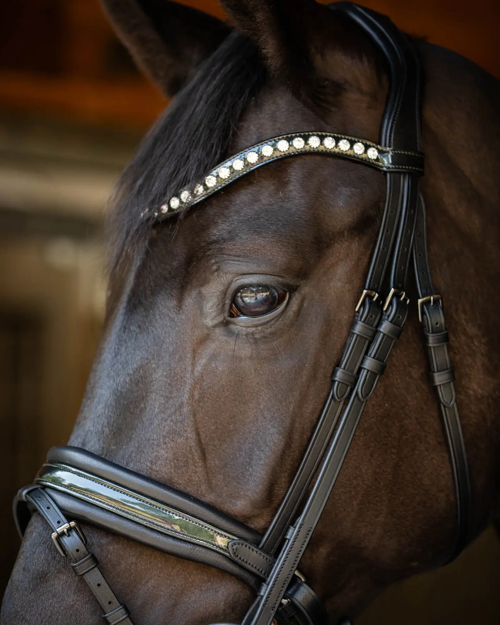 Trens Bridle Custom Ultra Slim Black | TESS Products - Afbeelding 6