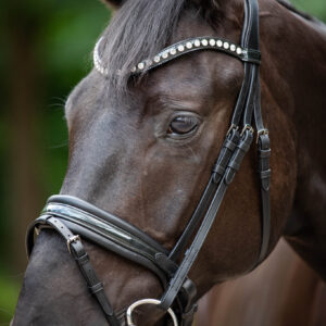 Trens Bridle Standaard Ultra Slim Black/Black | TESS Products