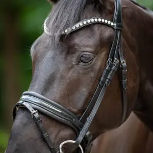 Trens Bridle Standaard Ultra Slim Black/Black | TESS Products