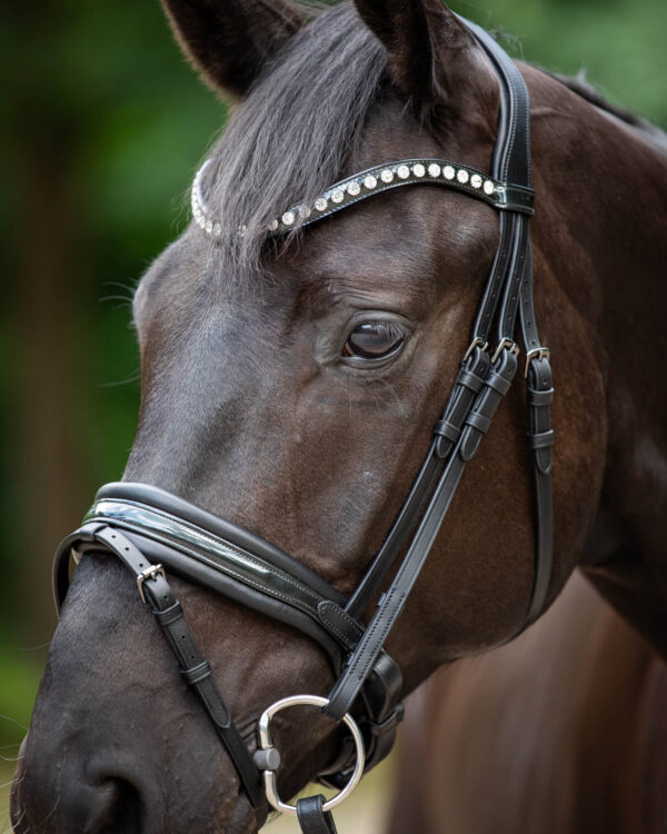 Trens Bridle Standaard Ultra Slim Black/Black | TESS Products