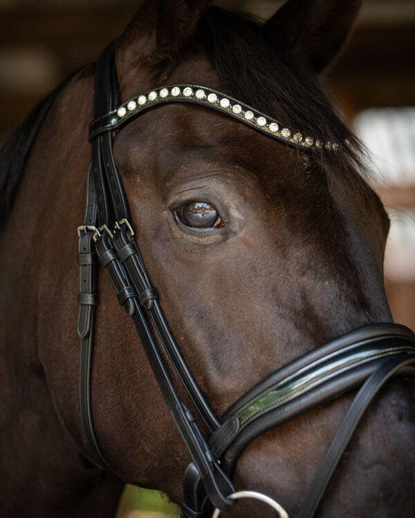 Trens Bridle Standaard Ultra Slim Black/Black | TESS Products - Afbeelding 6