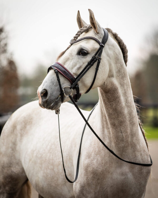 Trens Bridle Special Deluxe Bordeaux | TESS Products - Afbeelding 2