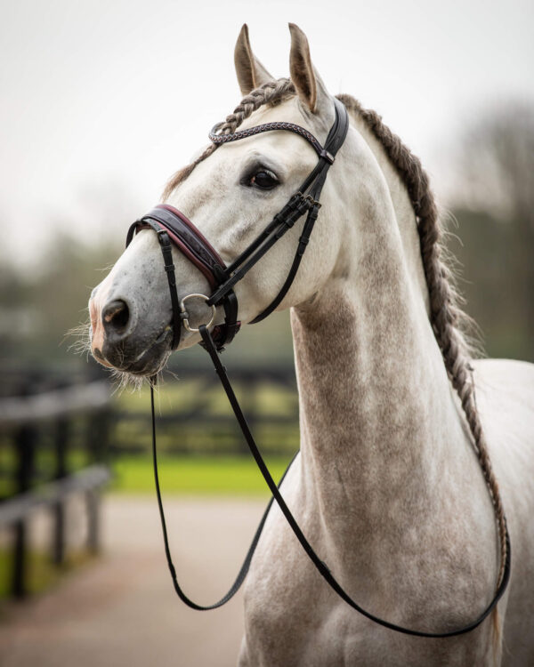 Trens Bridle Special Deluxe Bordeaux | TESS Products - Afbeelding 3
