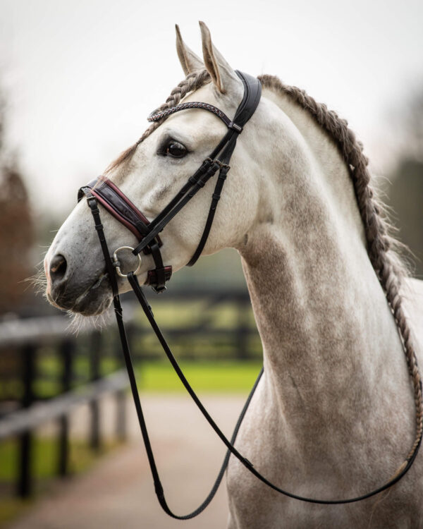 Trens Bridle Special Deluxe Bordeaux | TESS Products - Afbeelding 4