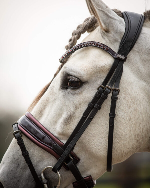 Trens Bridle Special Deluxe Bordeaux | TESS Products - Afbeelding 5