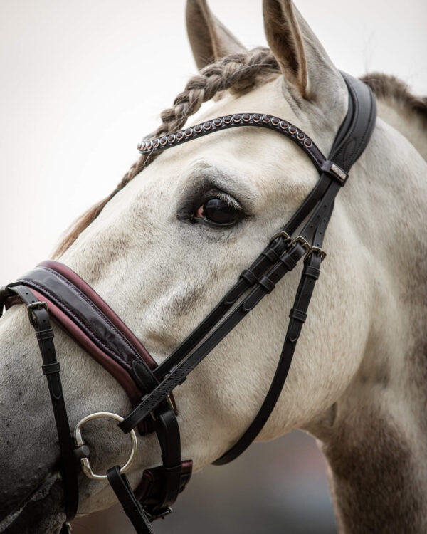 Trens Bridle Special Deluxe Bordeaux | TESS Products - Afbeelding 6