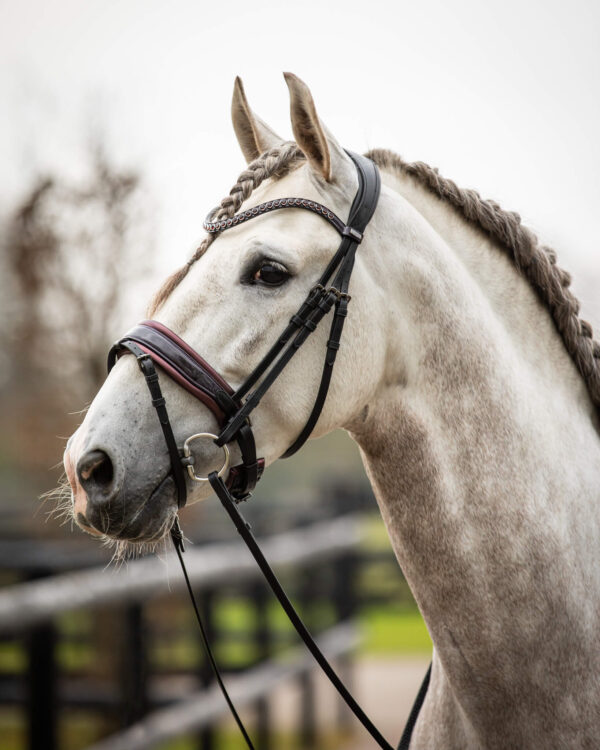 Trens Bridle Special Deluxe Bordeaux | TESS Products - Afbeelding 7
