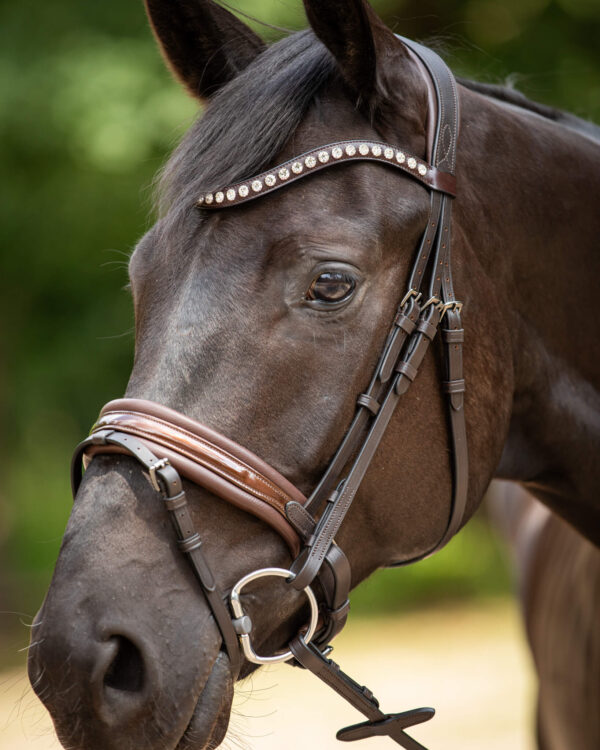 Trens Bridle Custom Ultra Slim Brown | TESS Products - Afbeelding 5