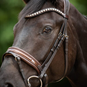Trens Bridle Custom Ultra Slim Brown | TESS Products