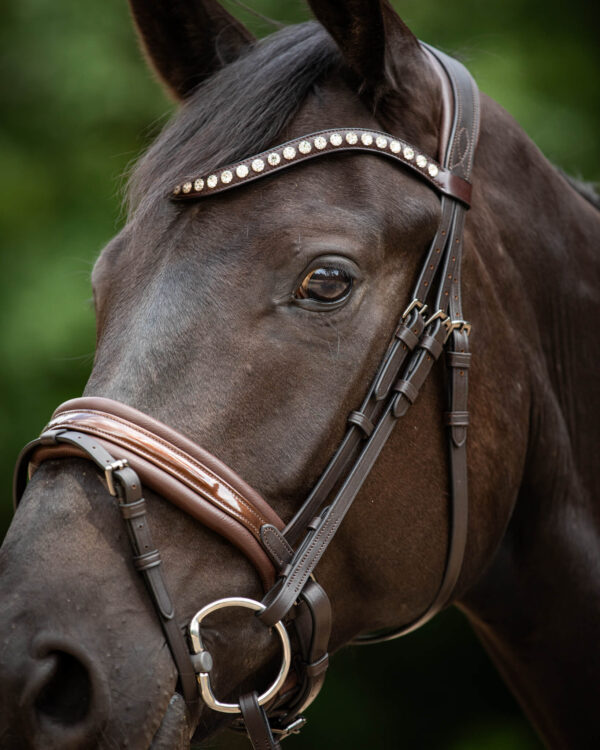 Trens Bridle Custom Ultra Slim Brown | TESS Products