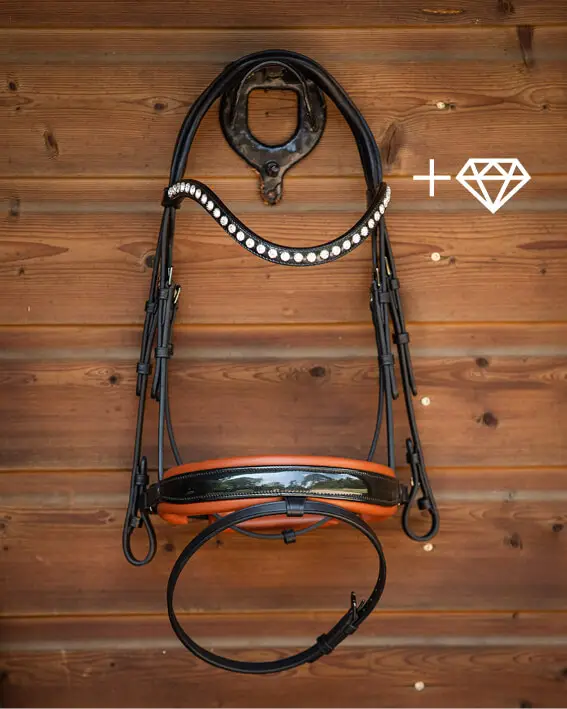 tess-products-tess-bridle-custom-snaffle-black-chestnut-slim-bridle-horse