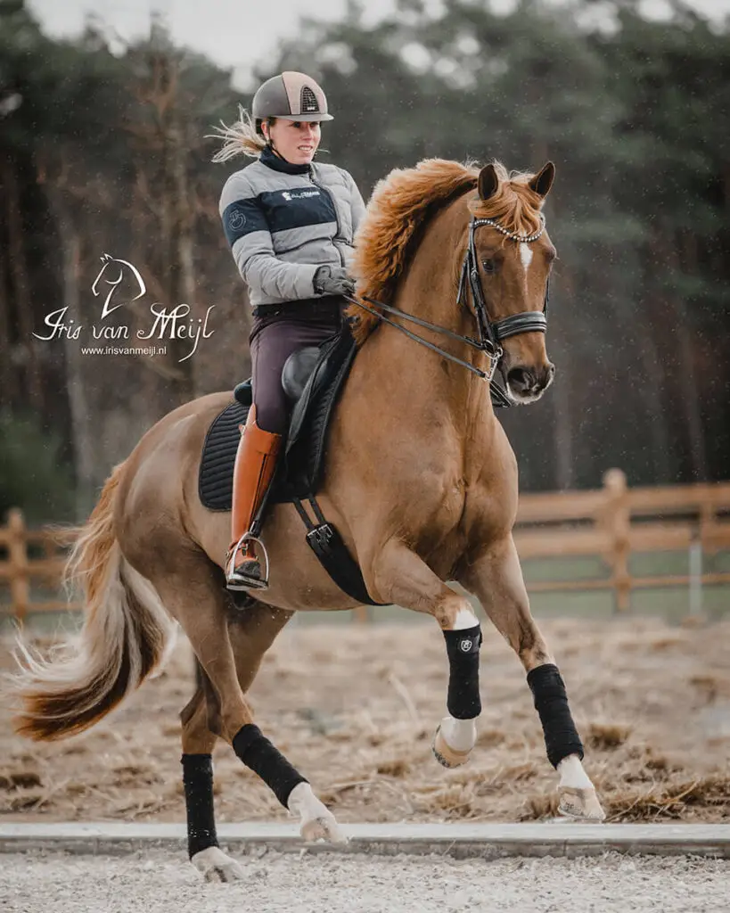 tess-products-ambassadeurs-laura-taams